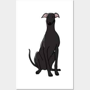 Cute Black Greyhound Posters and Art